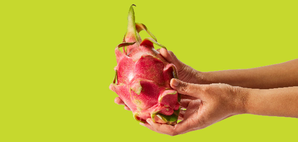 How to pick dragon fruit