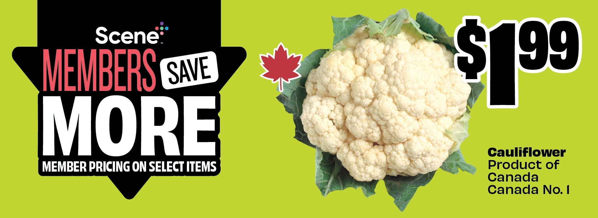 Scene+ Members Save More. Member pricing on select items. Cauliflower, Product of Canada, Canada No. 1. Priced at $1.99
