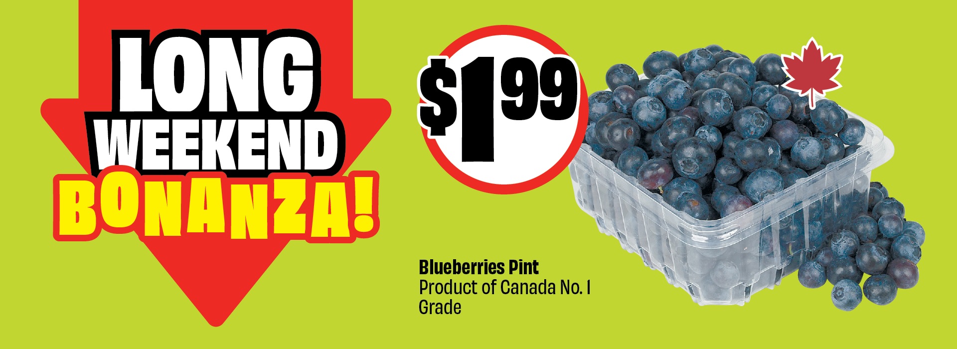 Text reading: "LONG WEEKEND BONANZA! Blueberries Pint, Product of Canada No.1 Grade. Priced at $1.99."