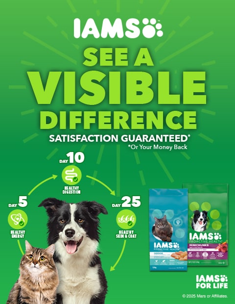 IAMS See a visible difference satisfaction guaranteed or your money back.